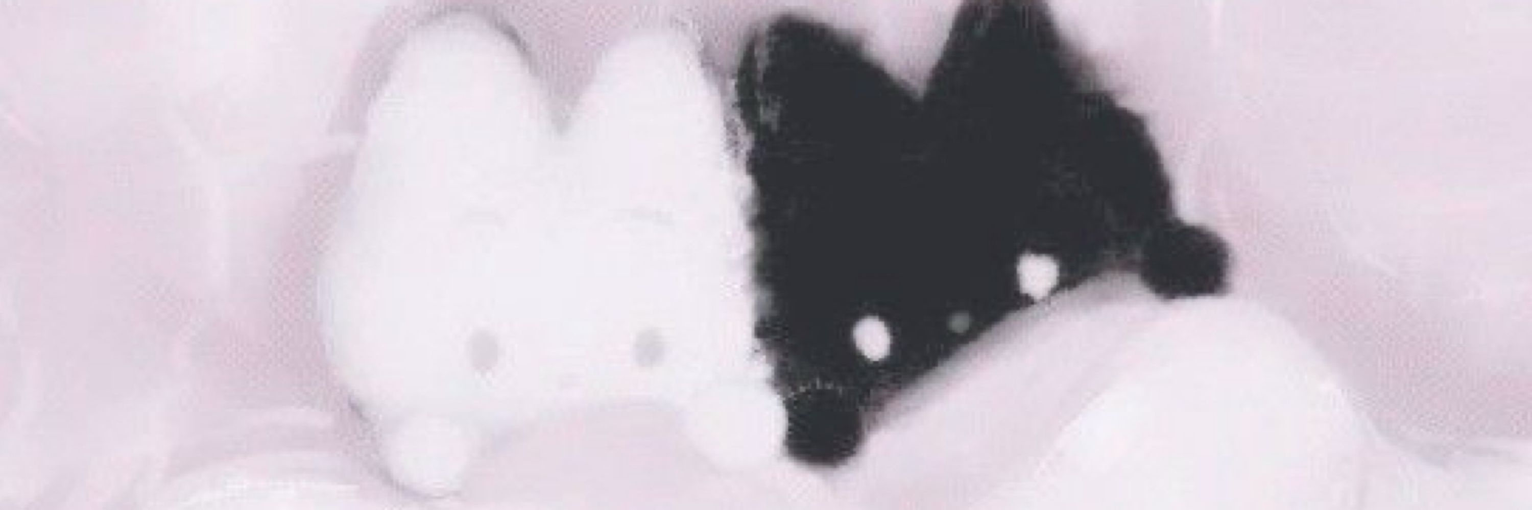 かれん