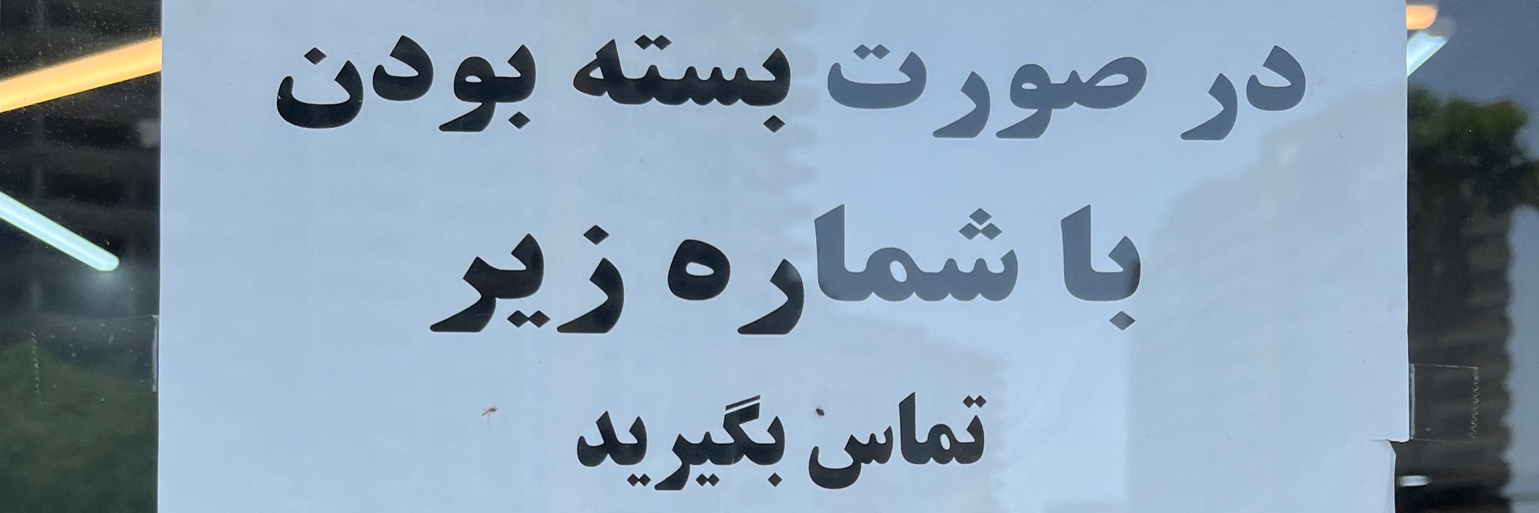 علیرضا.