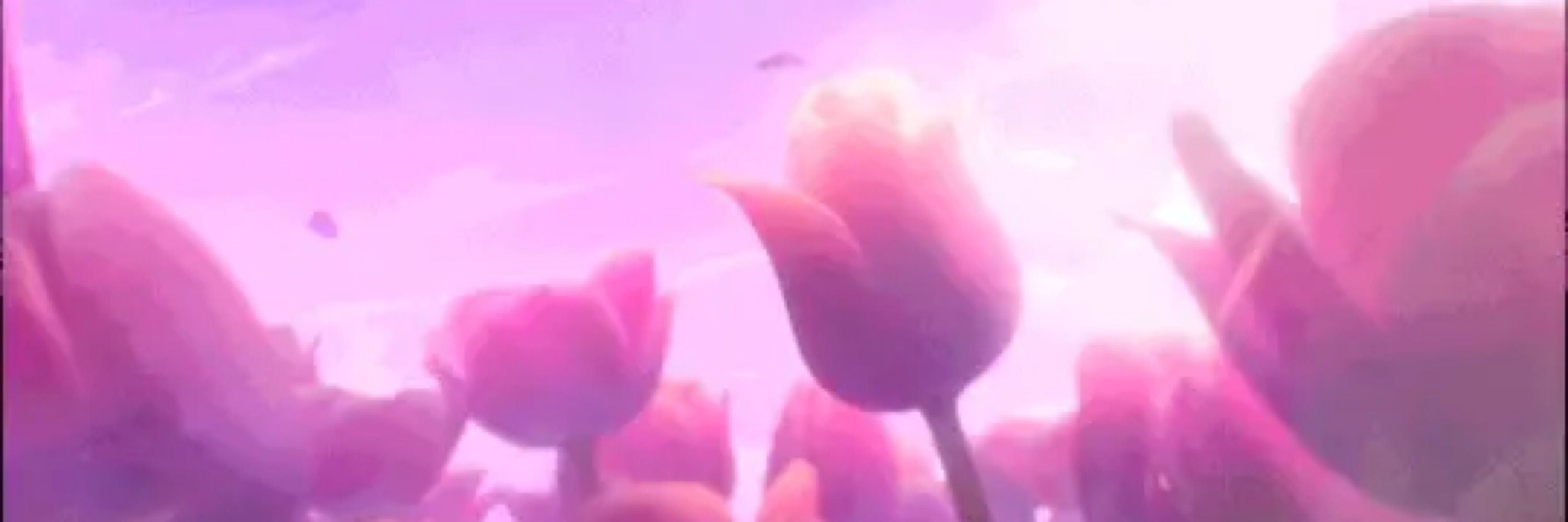 Mars🌸