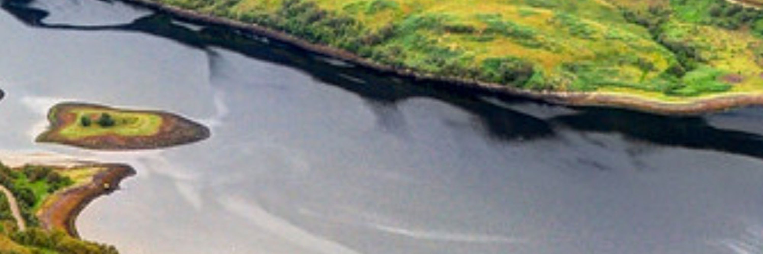 ScotGEESE