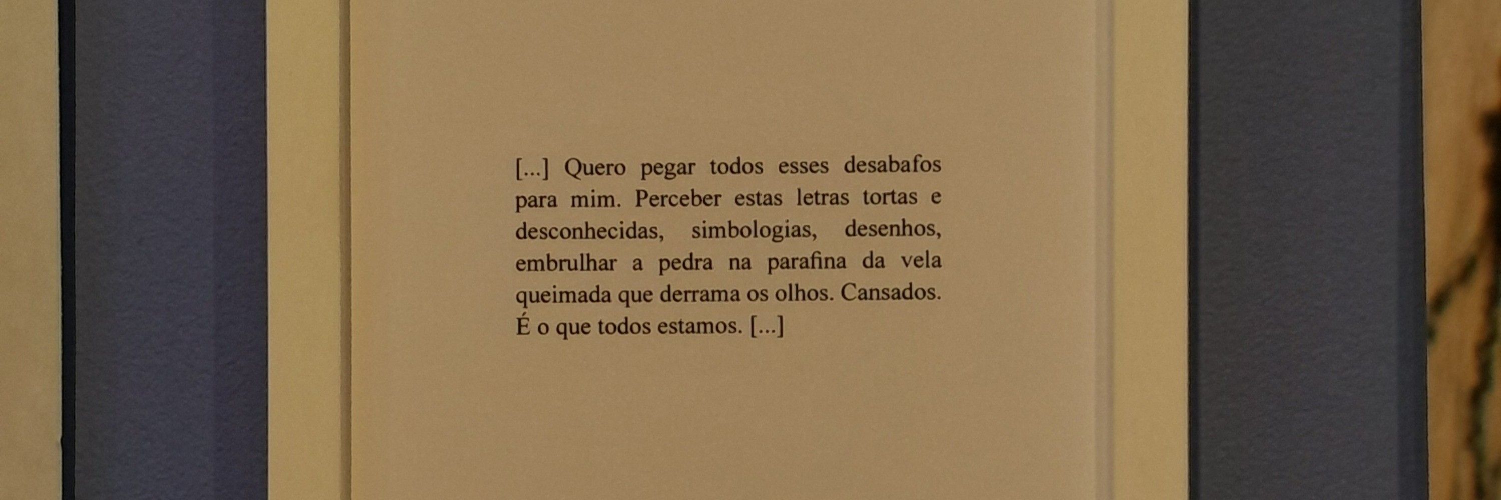 coitadinho da silva santos jr