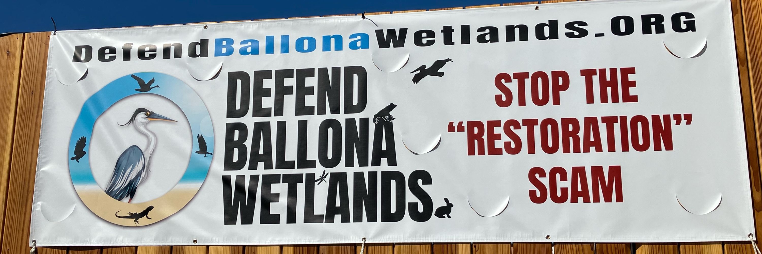 Defend Ballona Wetlands
