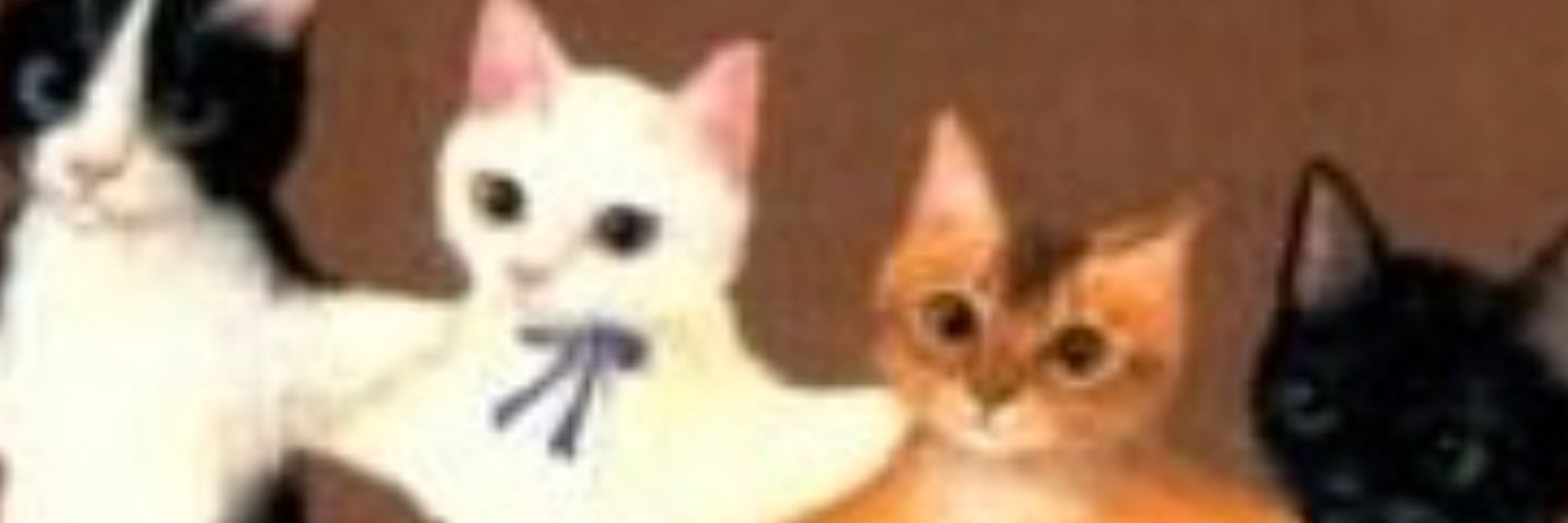 meowza