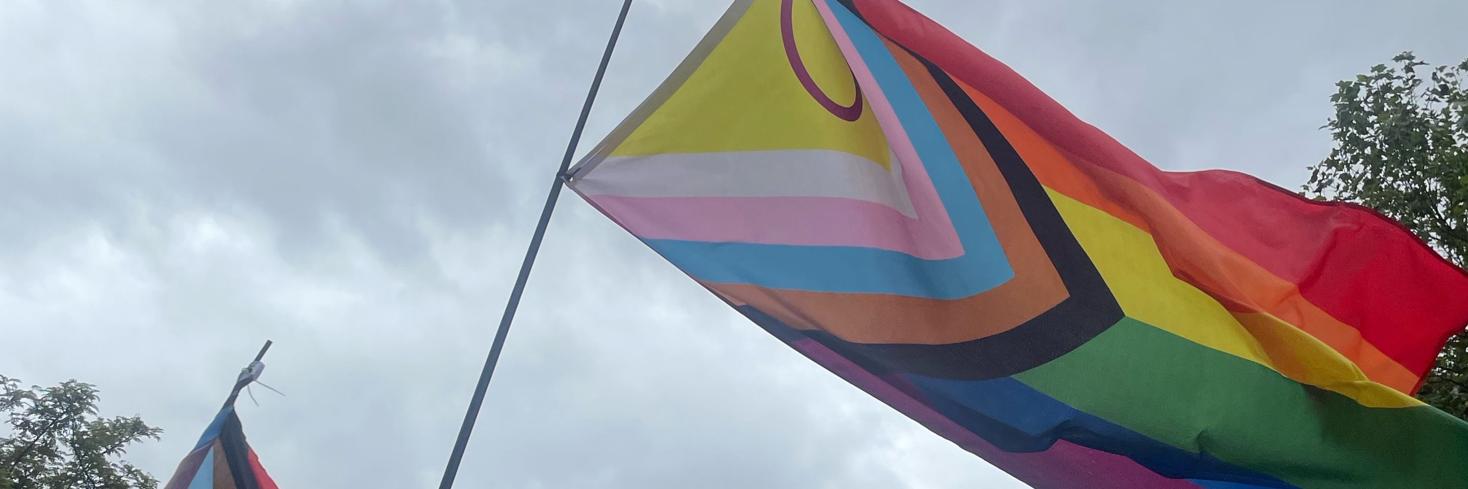 Militant homosexual evangelicalist