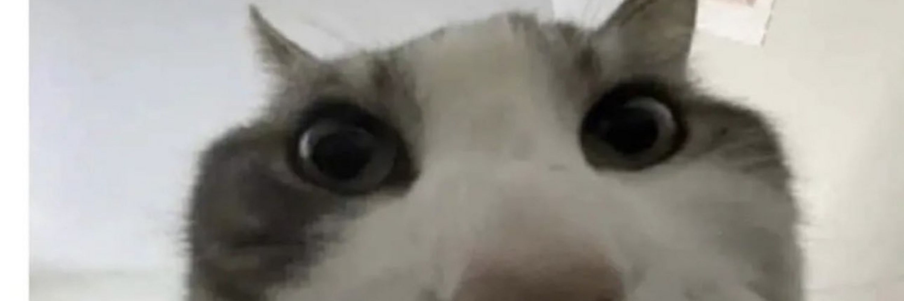 Anau