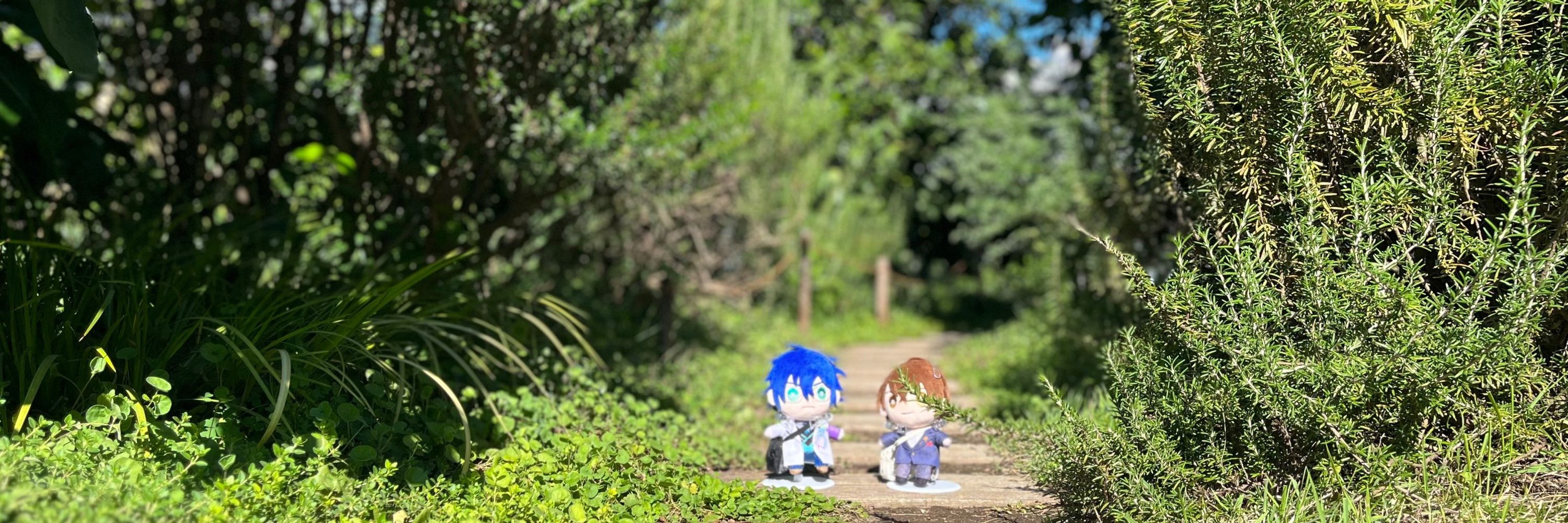 水無月みあん