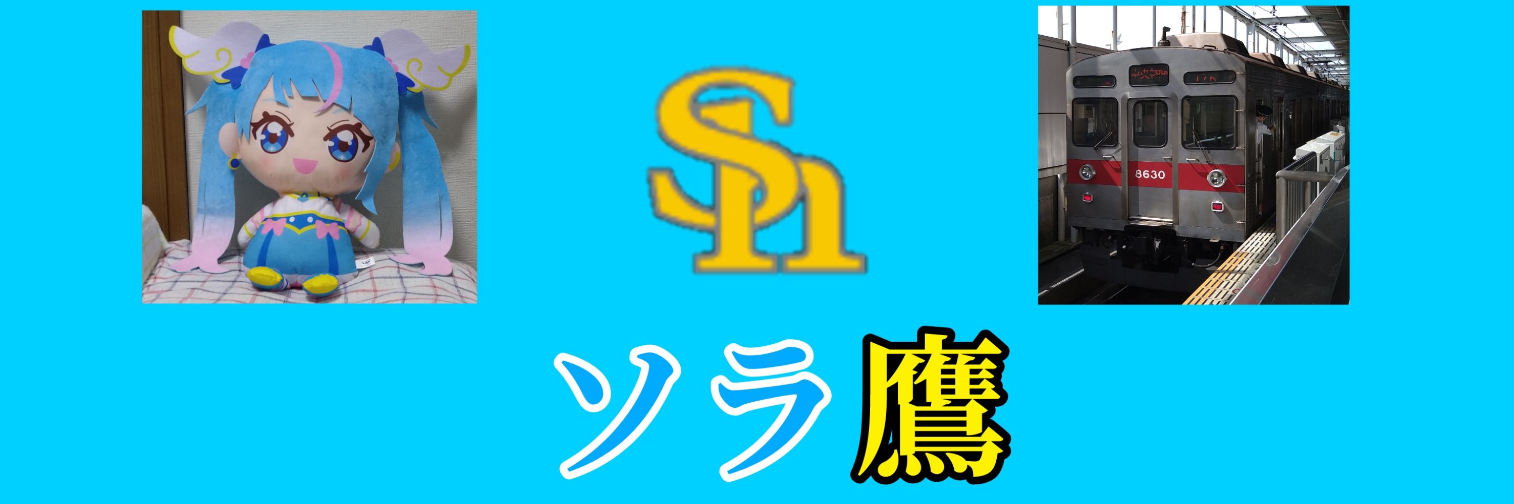 ソラ鷹