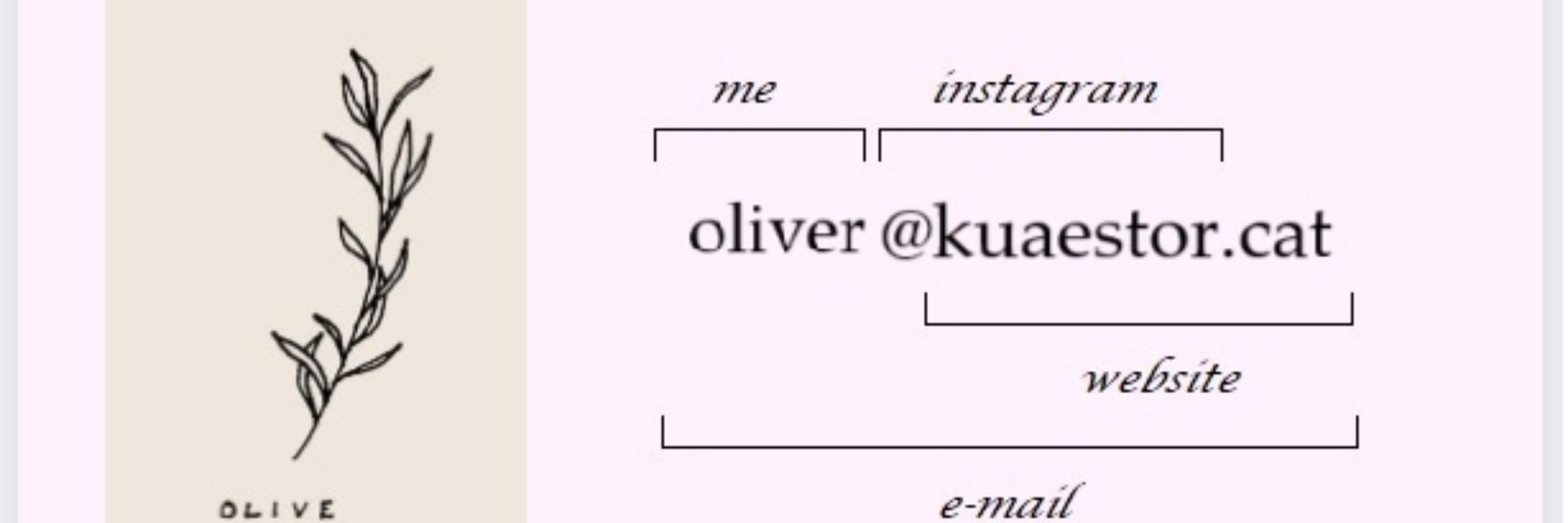kuaestor