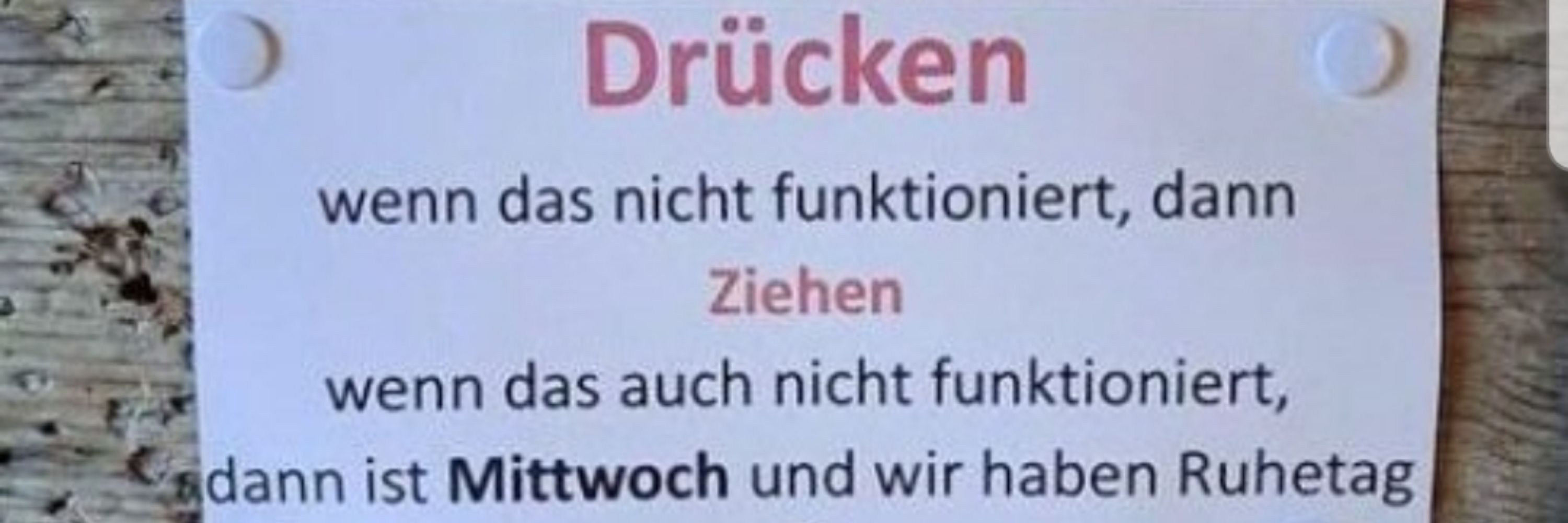 Rita im Elfenbeinturm 