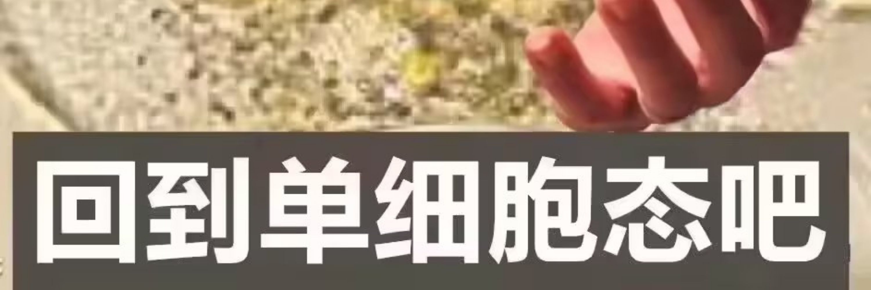 漩宇灵