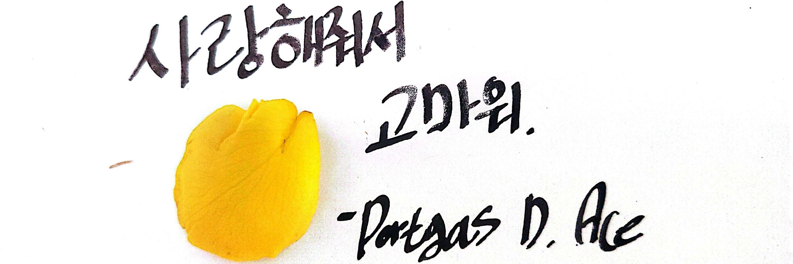 누리달하루