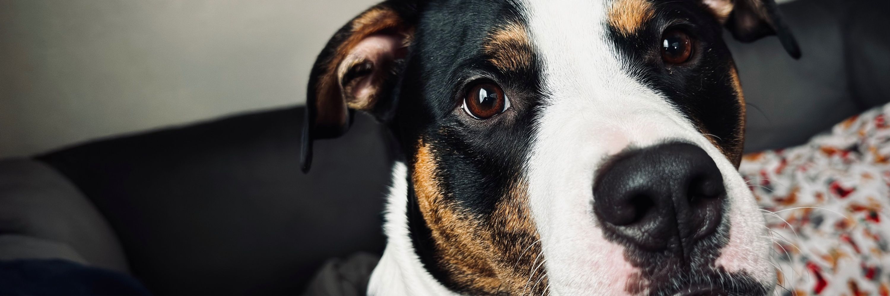 Erik