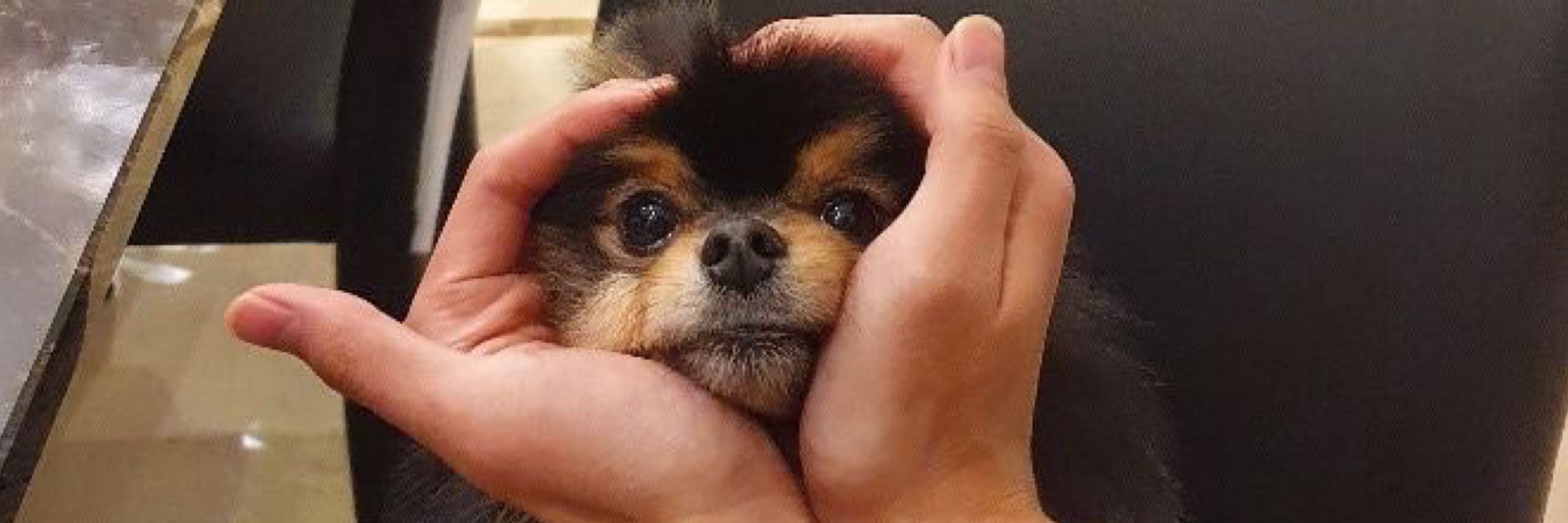 いちご