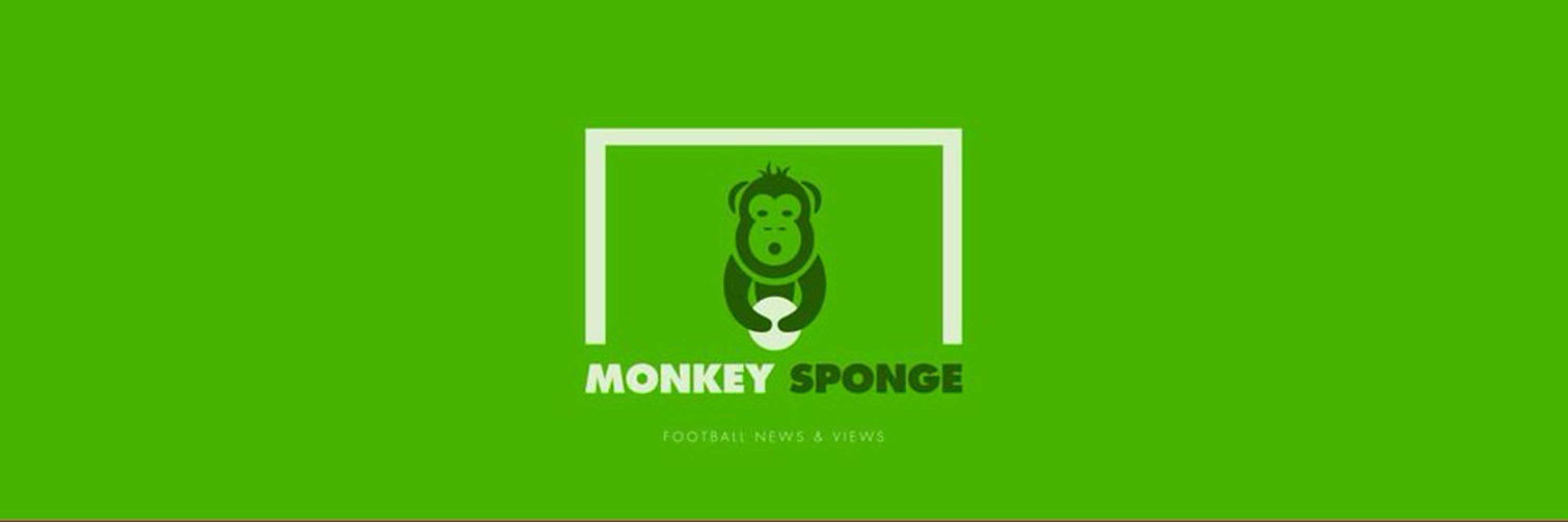 Sponge 