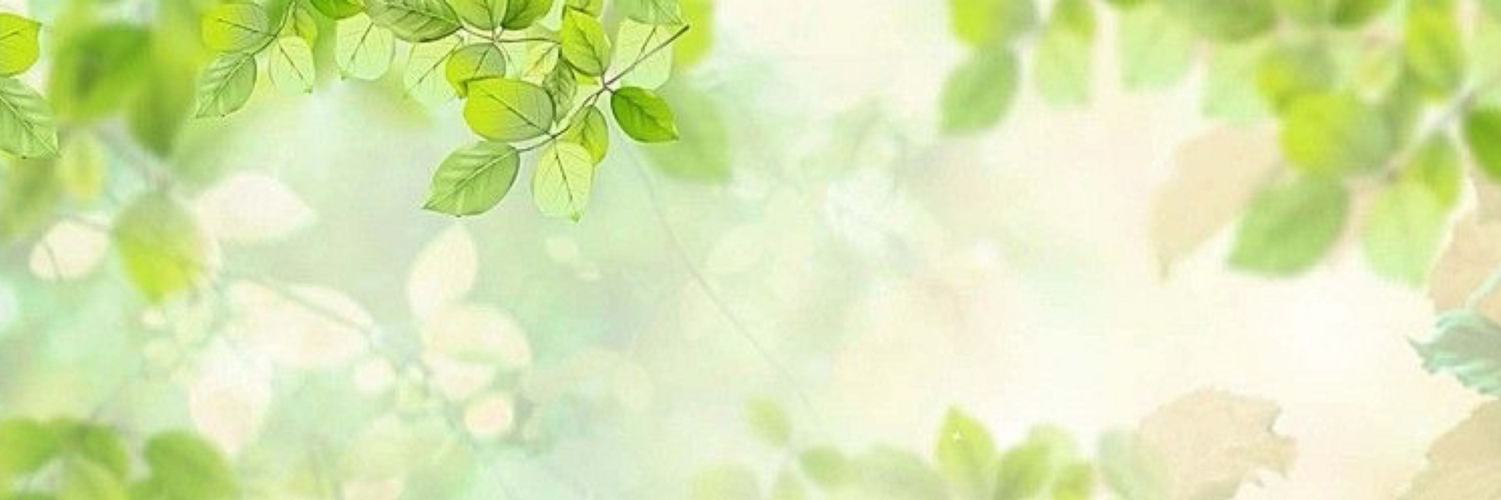 ☘