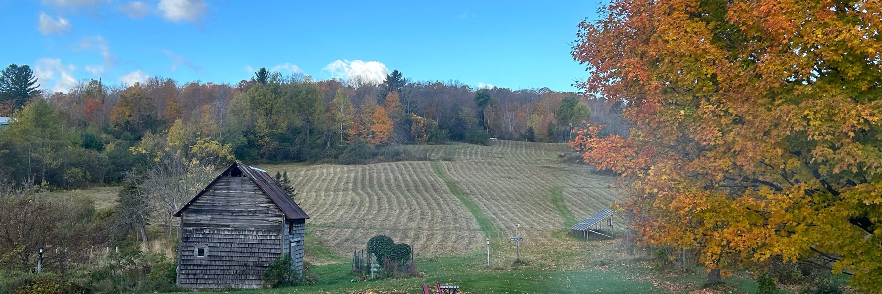 Jim D, from Vermont