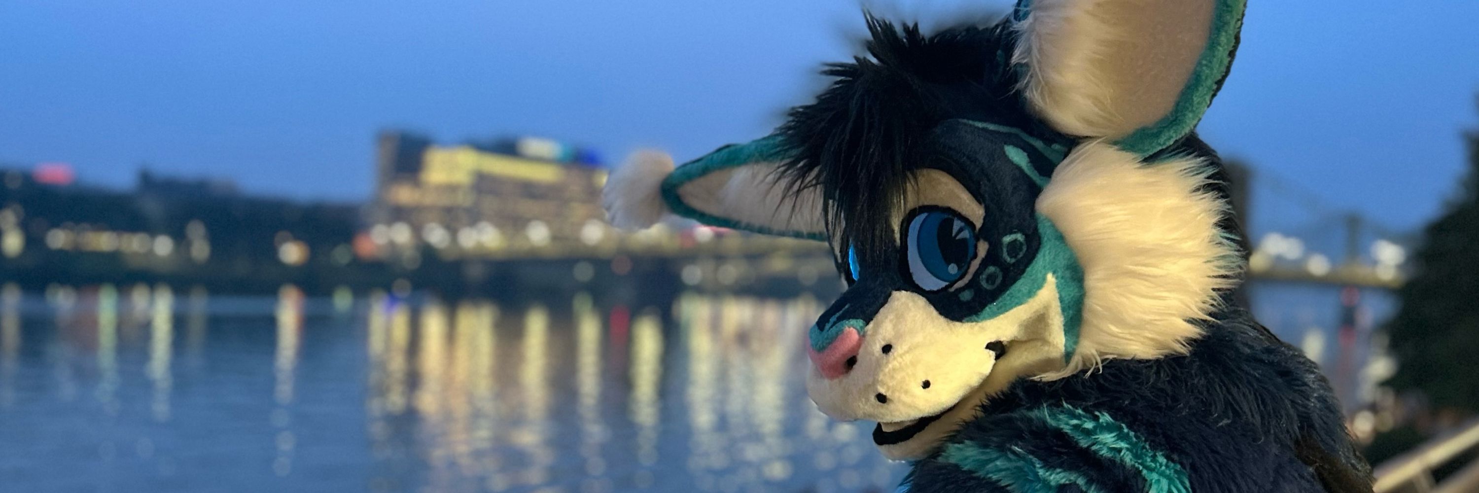CalyxCabbit