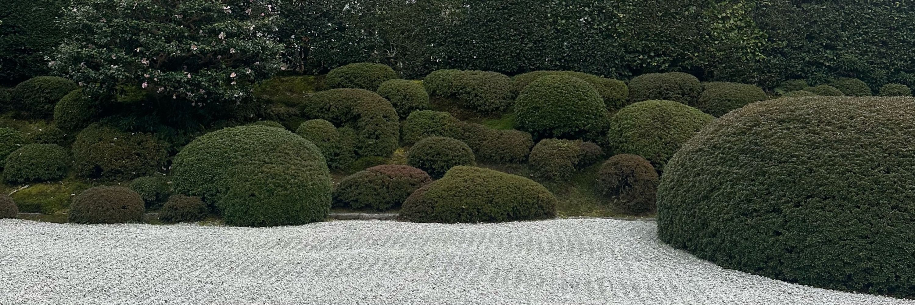 ヒロミ