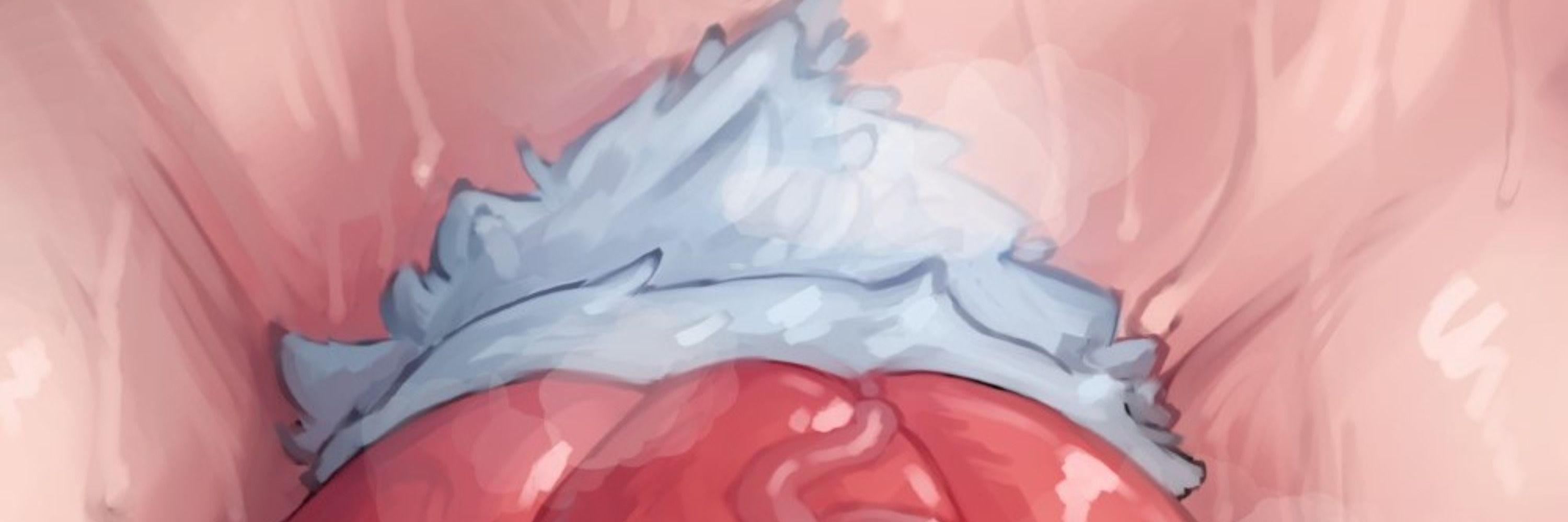 𝐒𝐡𝐢𝐛𝐀𝐦𝐨𝐧™