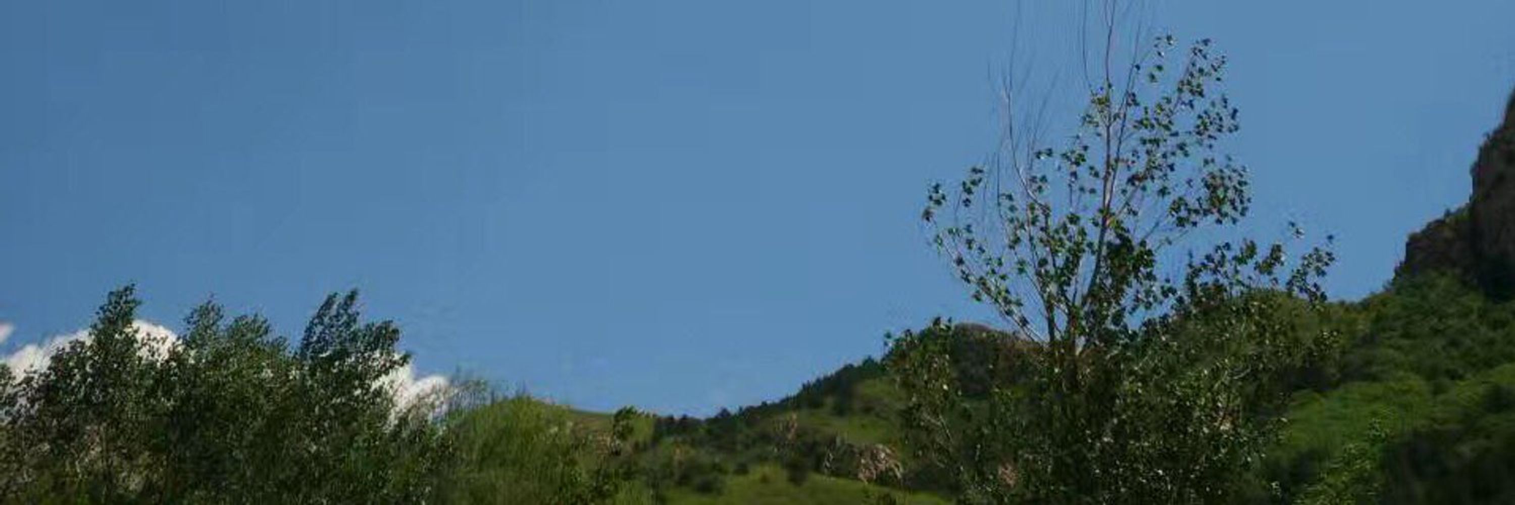蔡慎坤