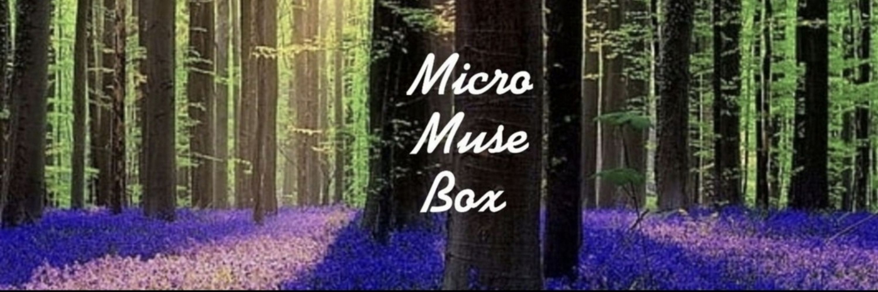 Micro Muse Box