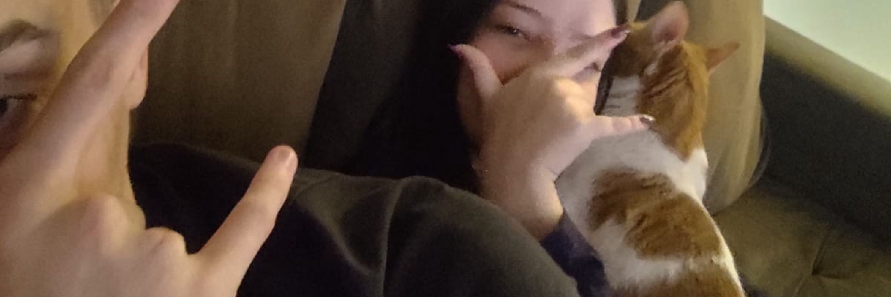 laurinha