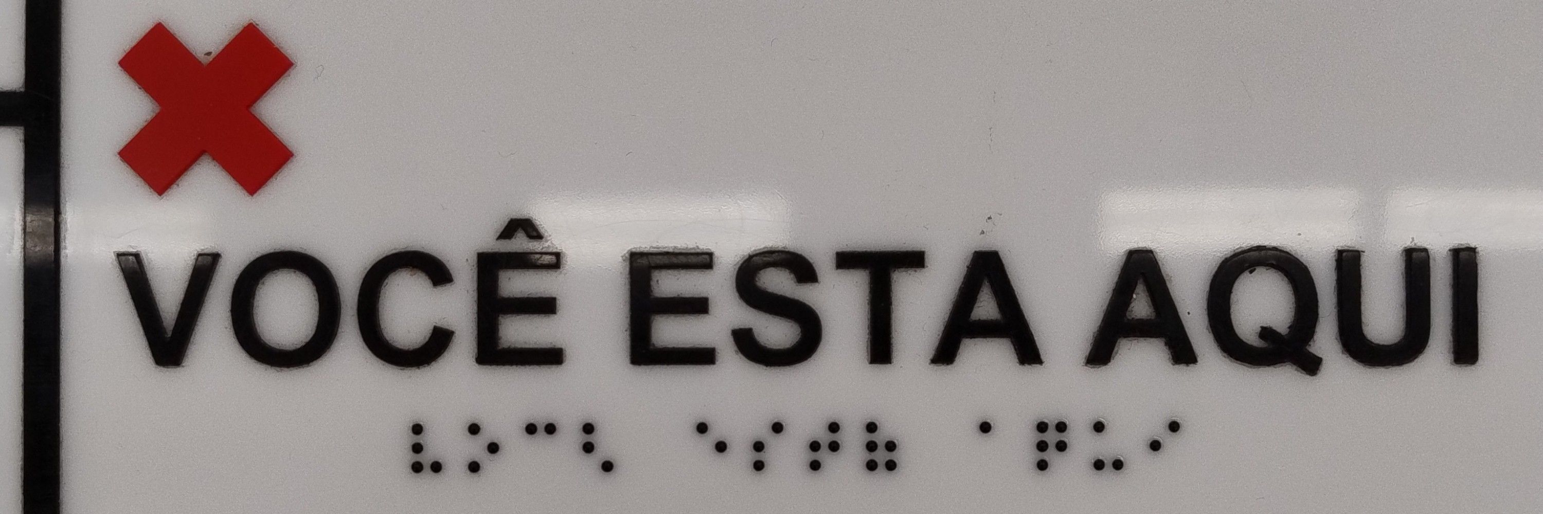 autista multiartista 🏳️‍⚧️
