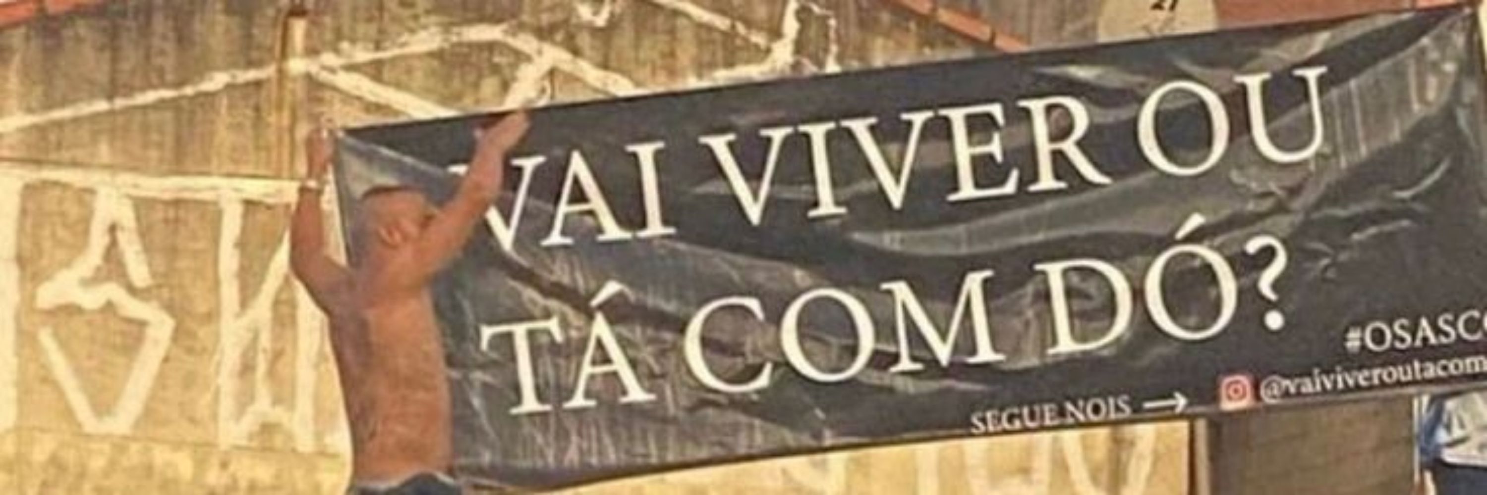 Brunão 🍁