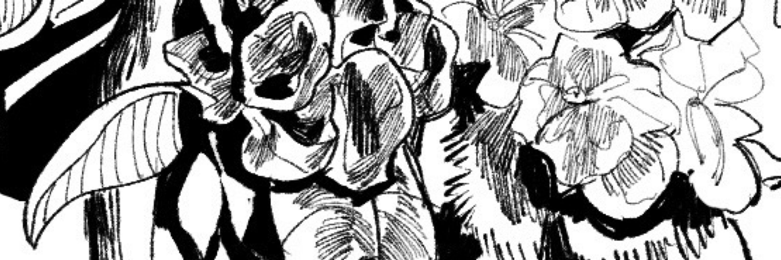 しろうと