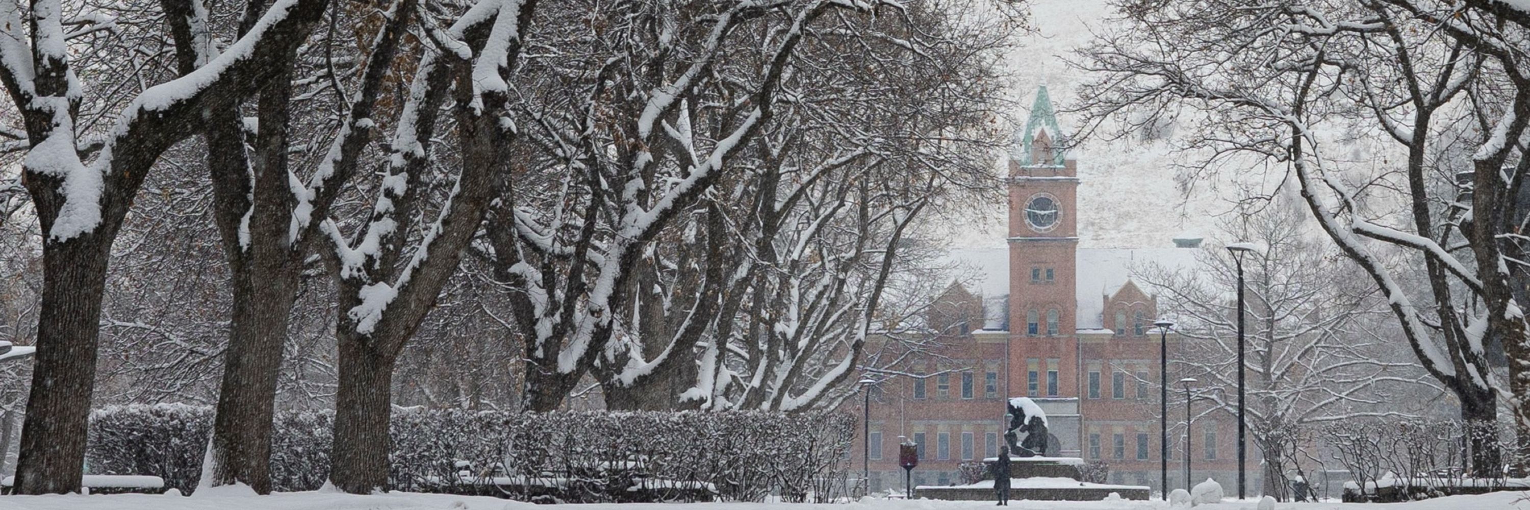 Best university in Montana