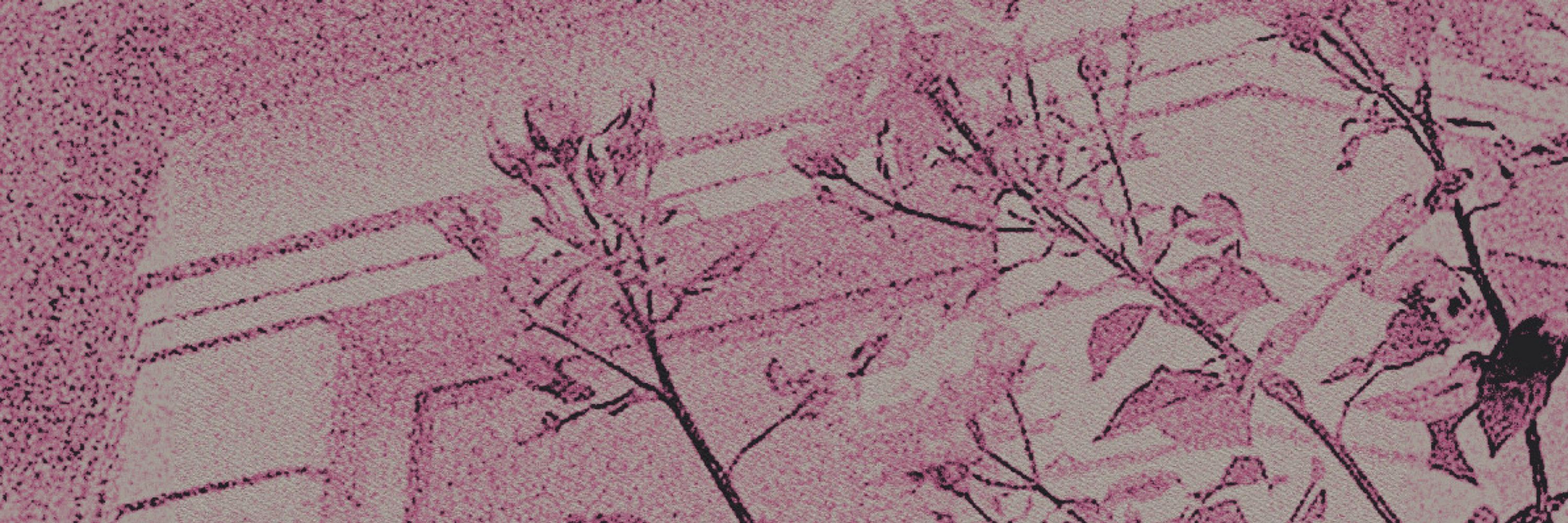 ᅟᅟ𝖶𝖠:  ‍‍ ‍‍ ‍‍   ᅟᅟ𝓘𝒔͟𝒂͟𝒅͟𝒐͟𝒓͟𝒂