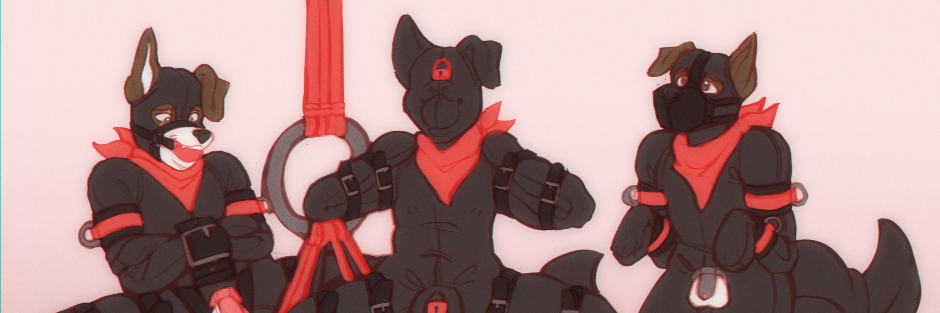 Bound-Collie
