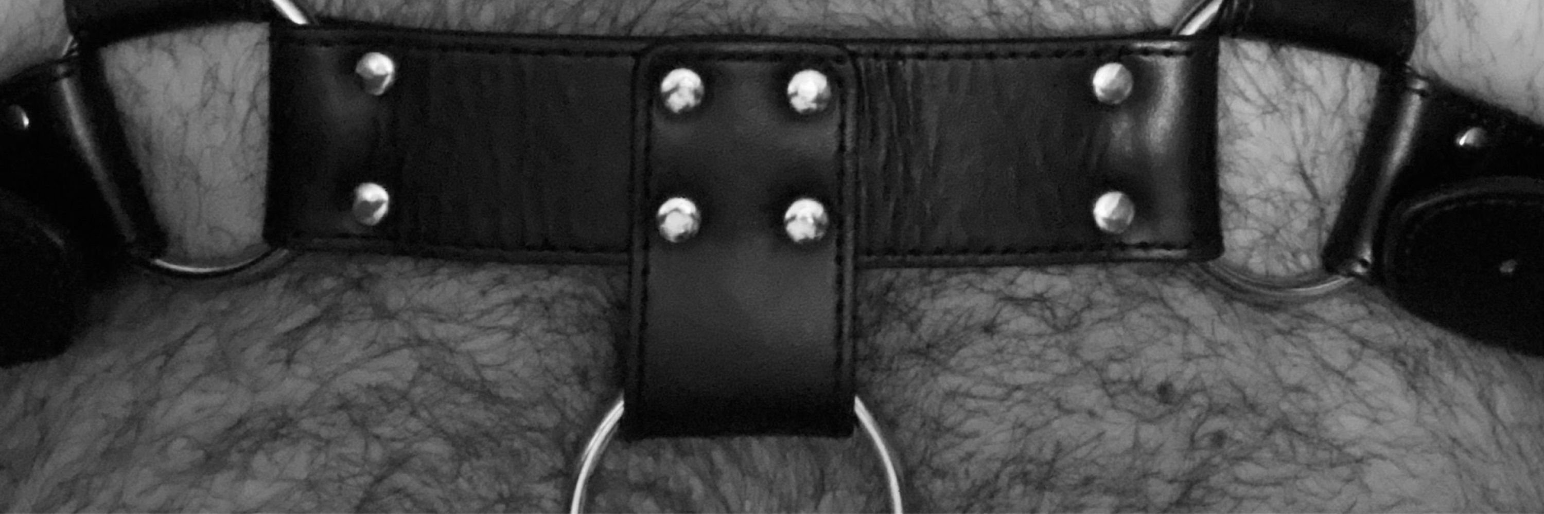 Erotic Bear Profil Berlin