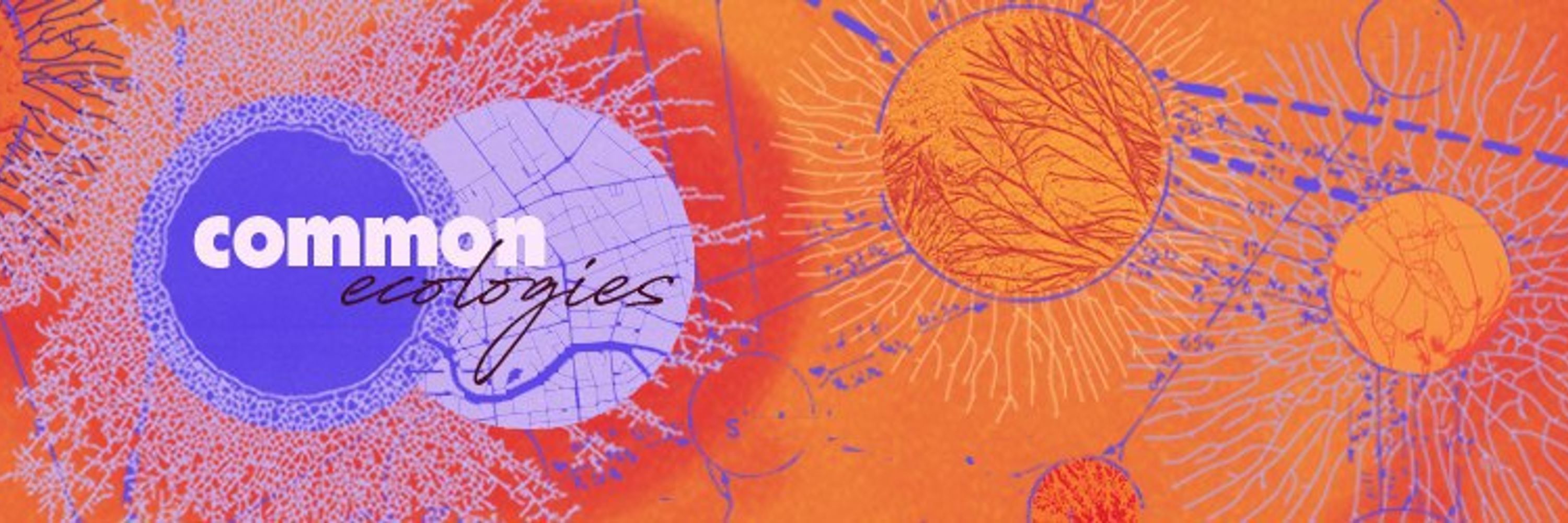 Common Ecologies
