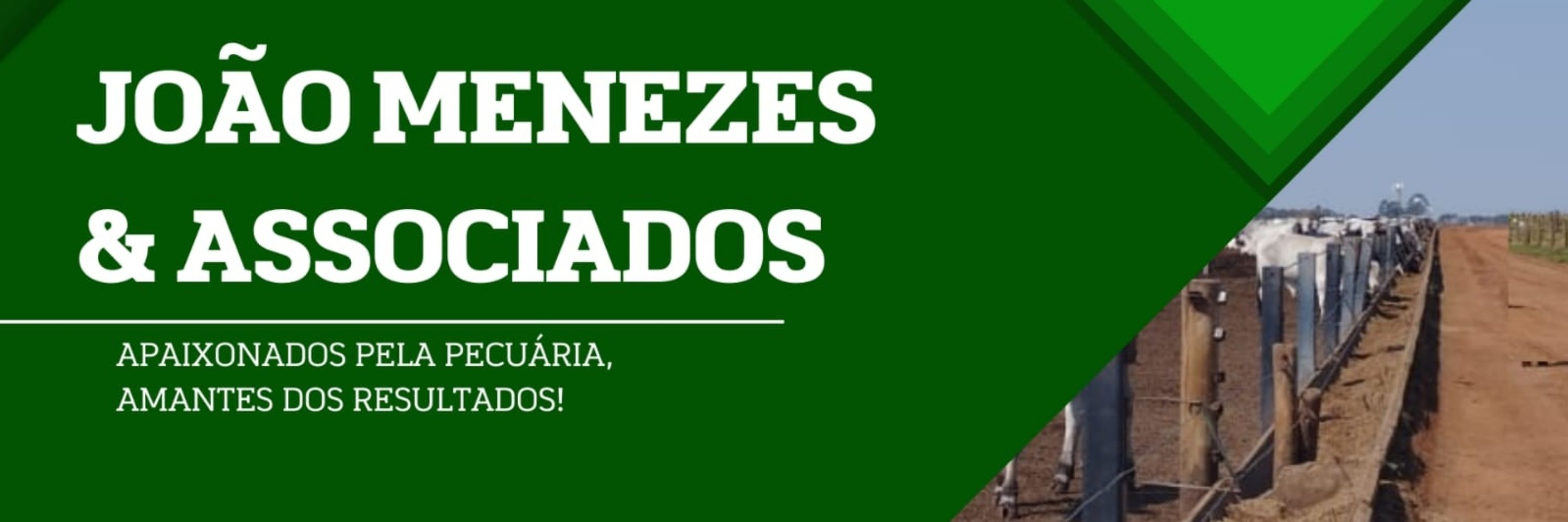 João Menezes & Associados