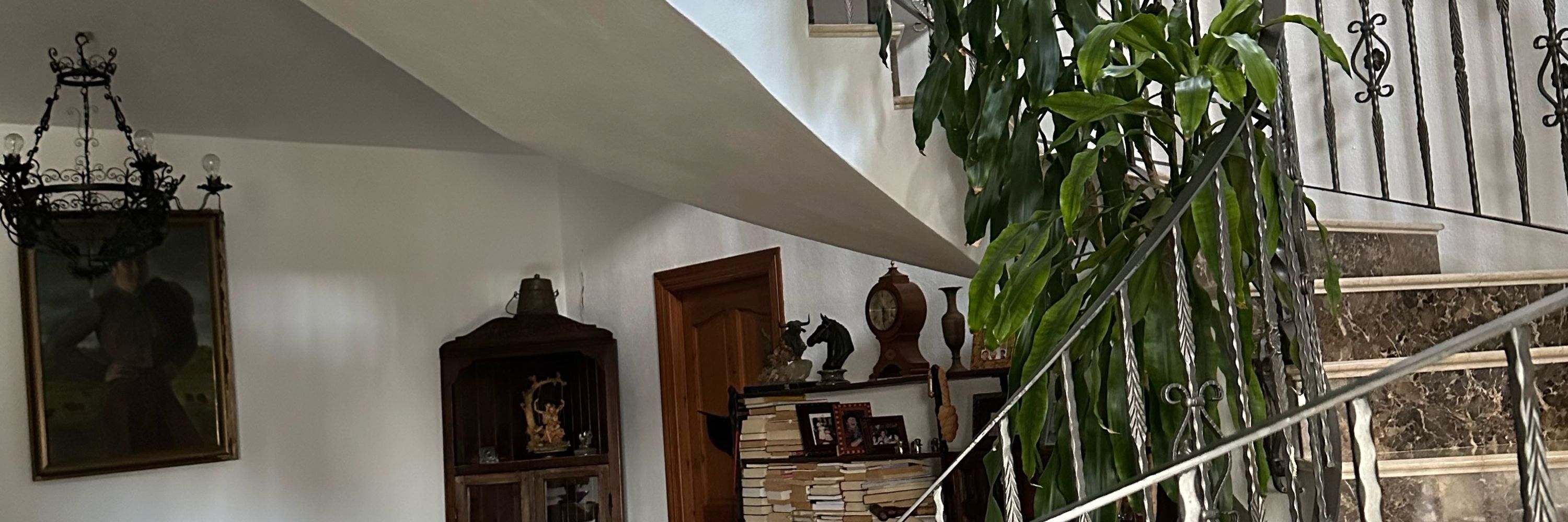 IsabelPaparazzi