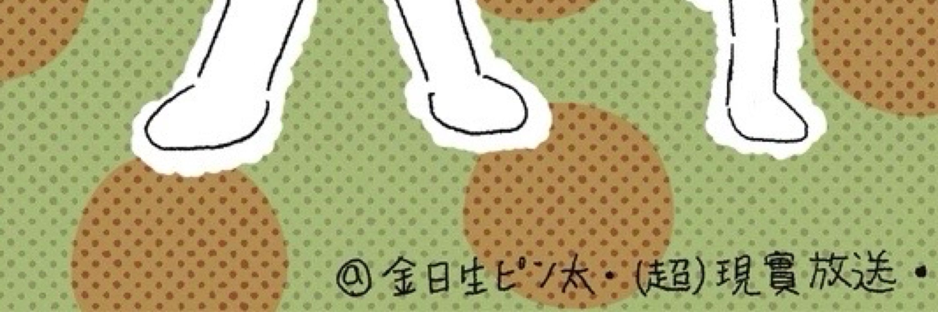 金日生ピョン太