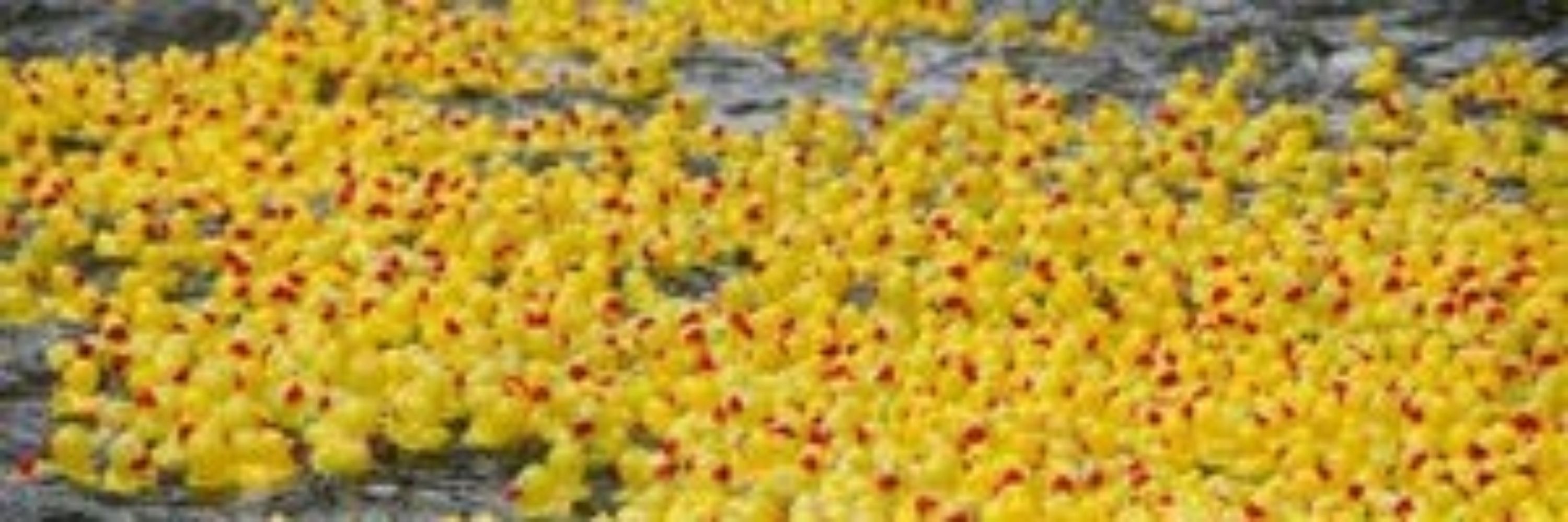 HellQuacker