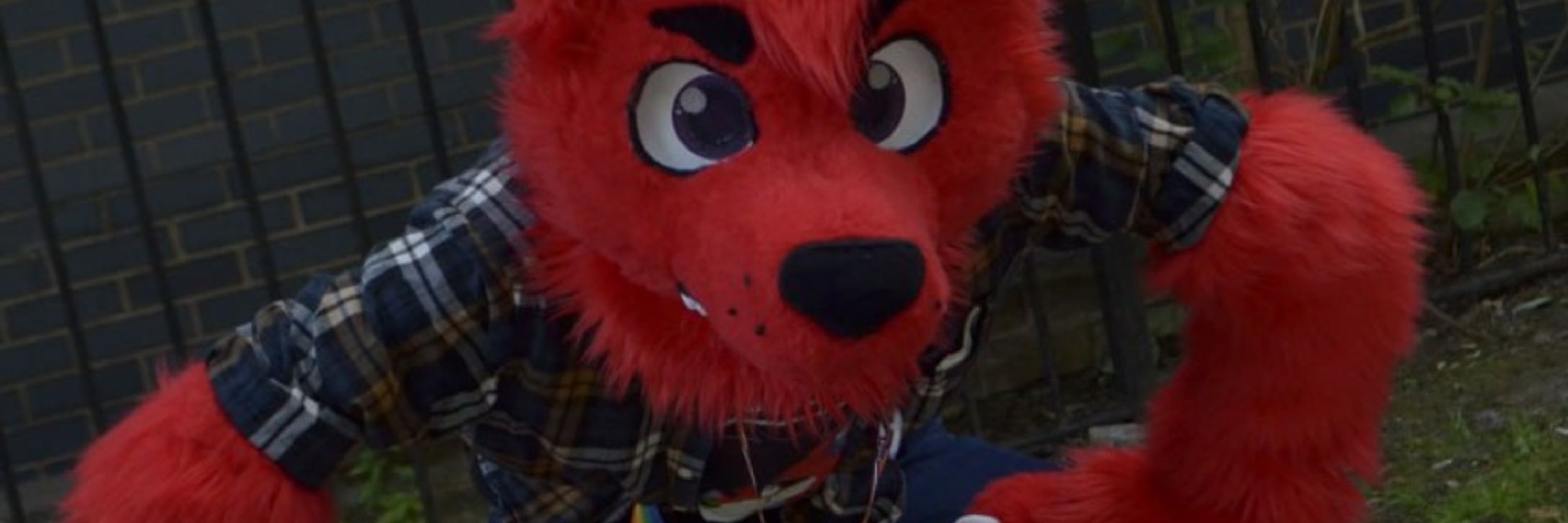 OscarTheHusky