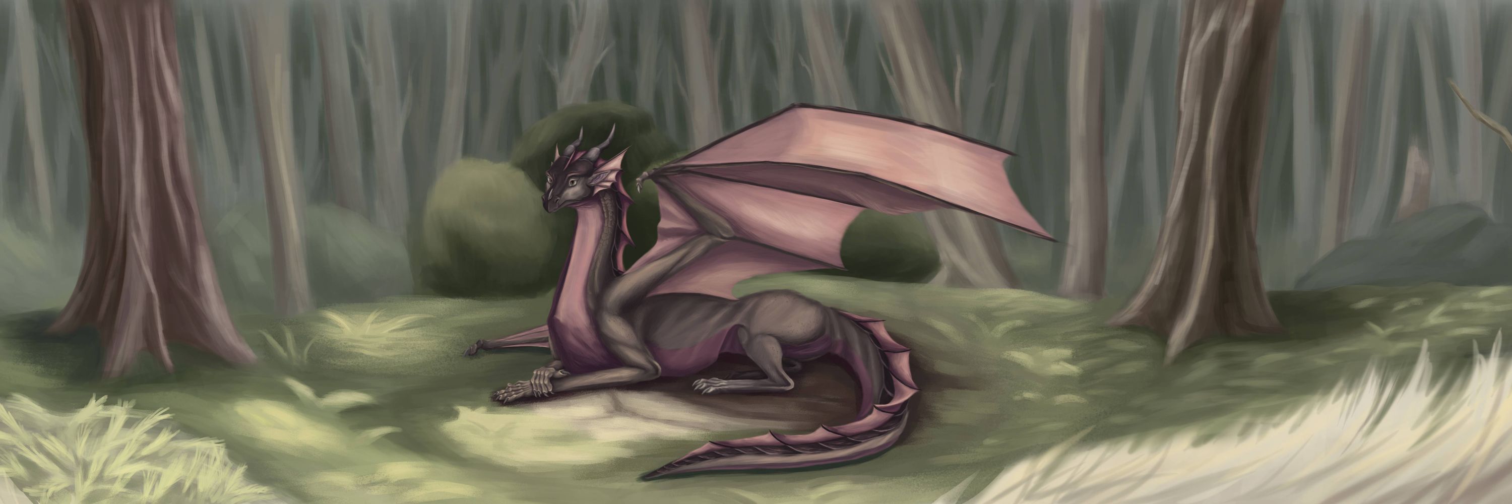 Dracorecluse
