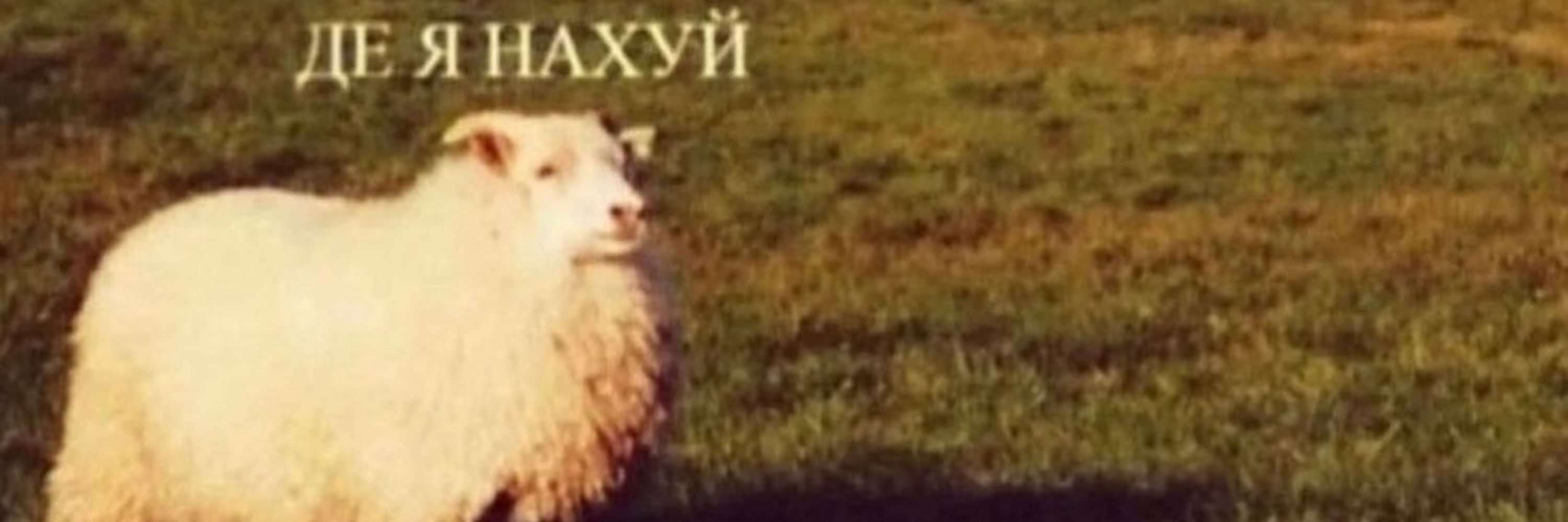 філемон 🦋