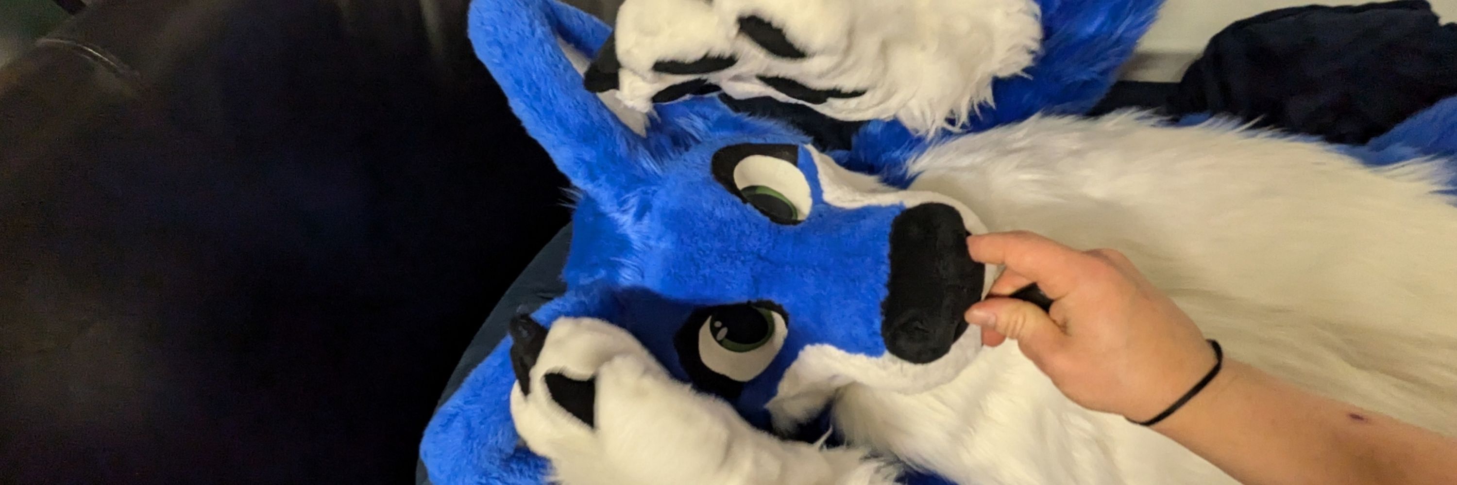 Ron Wolf 🔜@FWA25, @Fureh
