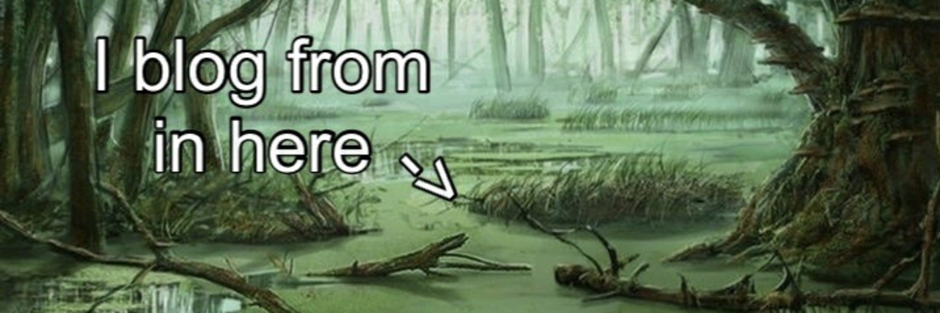 🐊
