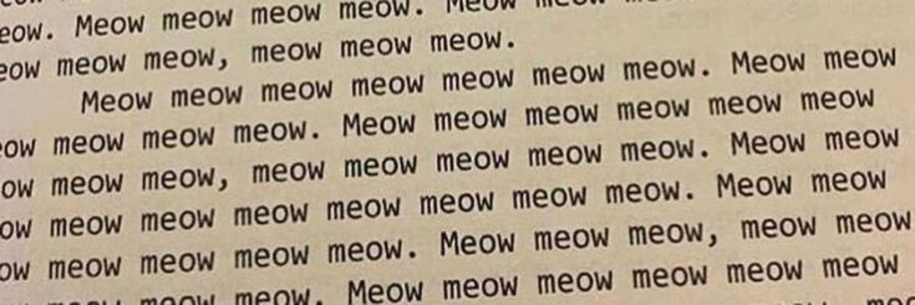 kiwi✧.*