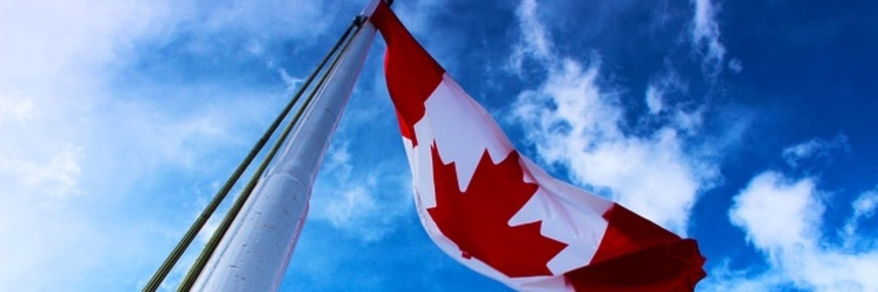 Brave New Canada 🇨🇦