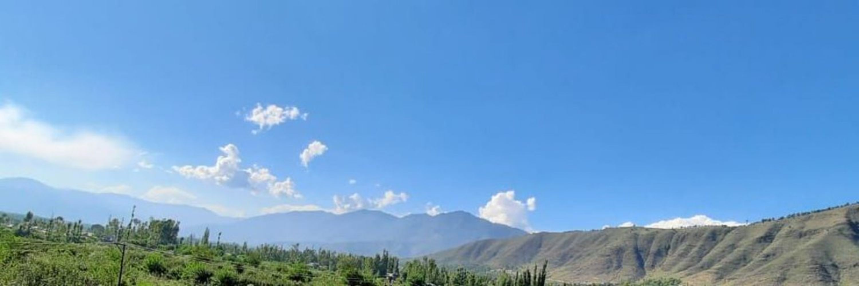  Ehtisham