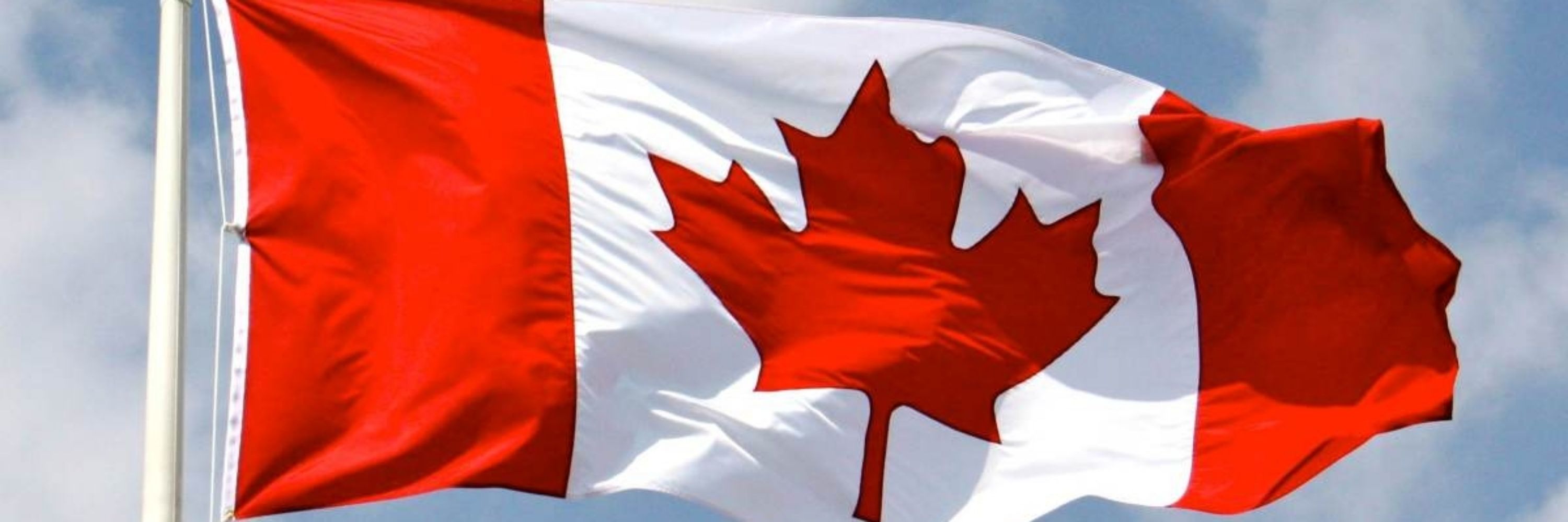 Proud Canadian 🇨🇦🦋💙⛳️