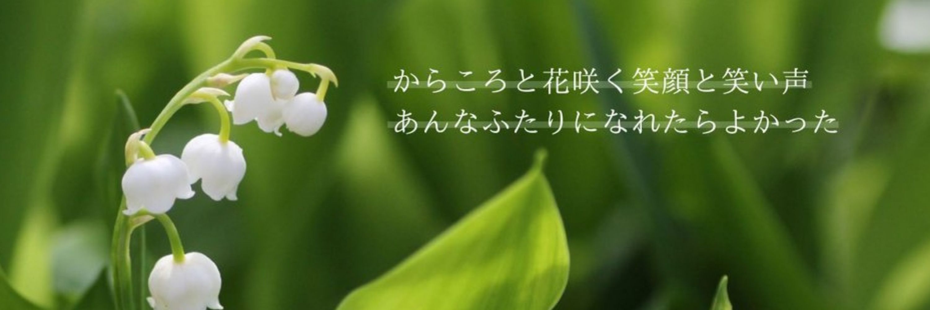 くまぬこ