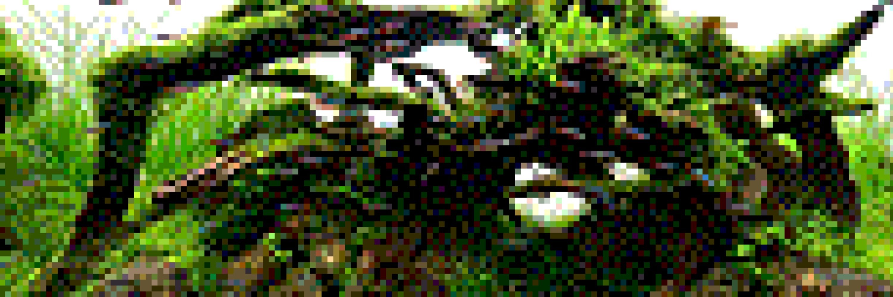 きんぺこ