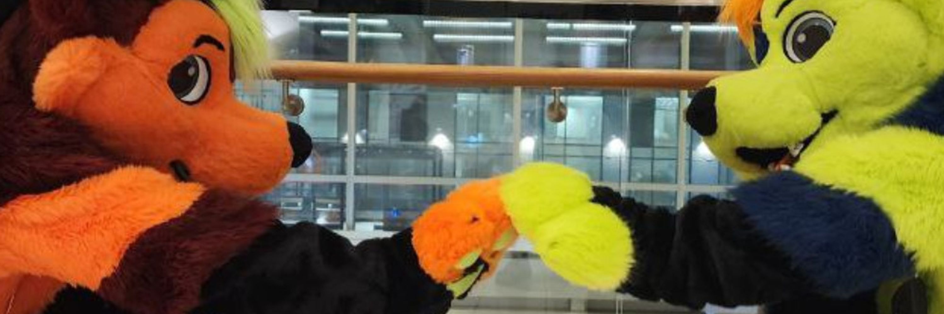 GSY Fursuits